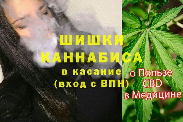 не бодяженный Горнозаводск