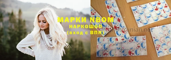 apvp Няндома
